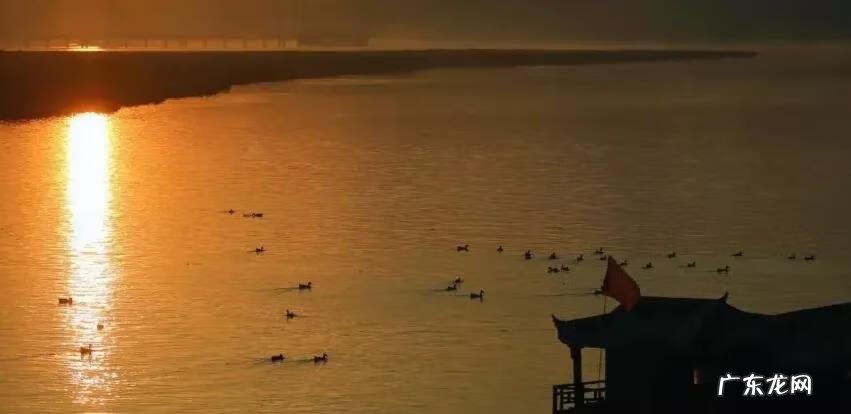 南充龙脉在哪里 南充龙角山景区