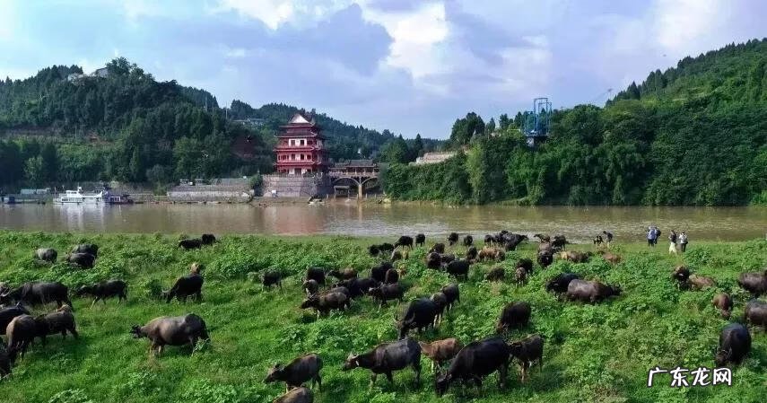 南充龙脉在哪里 南充龙角山景区