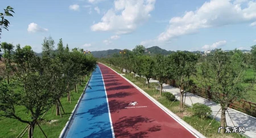 南充龙脉在哪里 南充龙角山景区