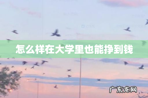 怎么样在大学里也能挣到钱