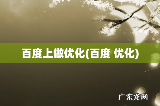 百度 优化 百度上做优化