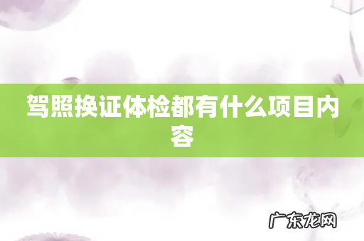 驾照换证体检都有什么项目内容
