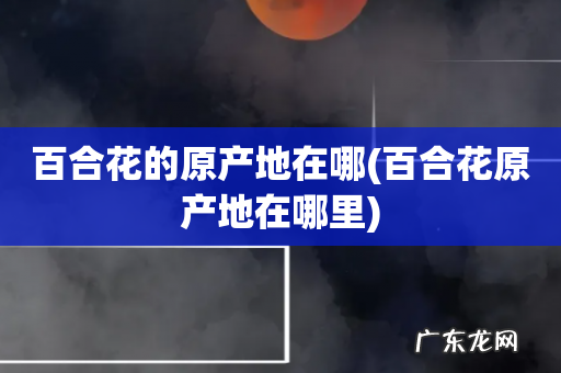 百合花原产地在哪里 百合花的原产地在哪