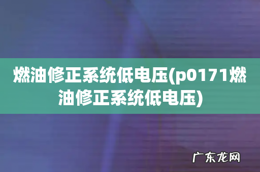 p0171燃油修正系统低电压 燃油修正系统低电压