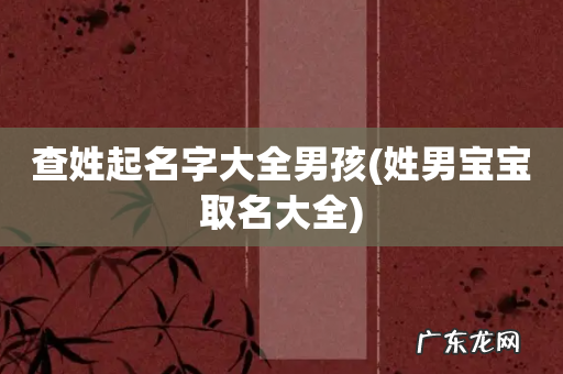 姓男宝宝取名大全 查姓起名字大全男孩