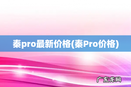 秦Pro价格 秦pro最新价格