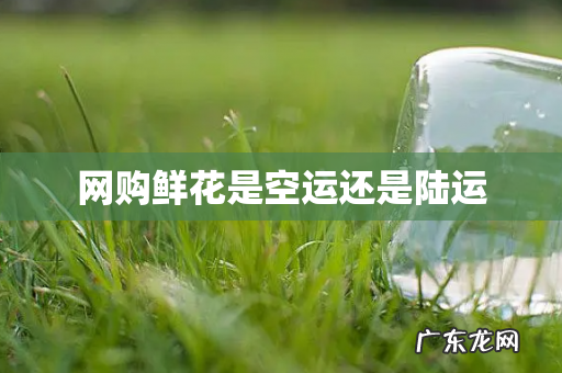 网购鲜花是空运还是陆运