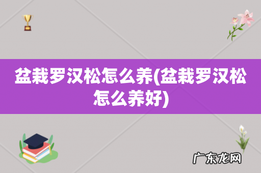 盆栽罗汉松怎么养好 盆栽罗汉松怎么养