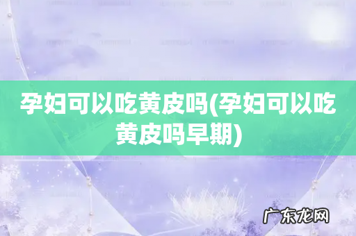 孕妇可以吃黄皮吗早期 孕妇可以吃黄皮吗