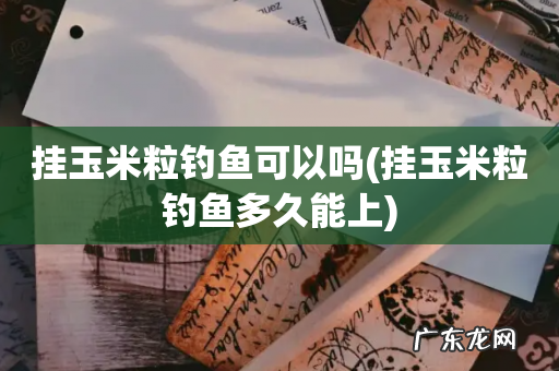 挂玉米粒钓鱼多久能上 挂玉米粒钓鱼可以吗