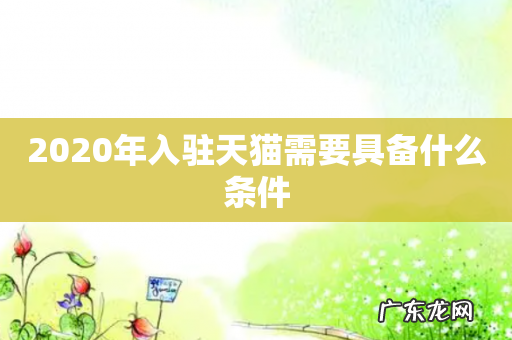 2020年入驻天猫需要具备什么条件