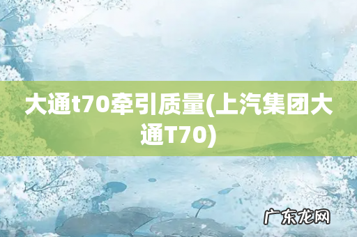 上汽集团大通T70 大通t70牵引质量