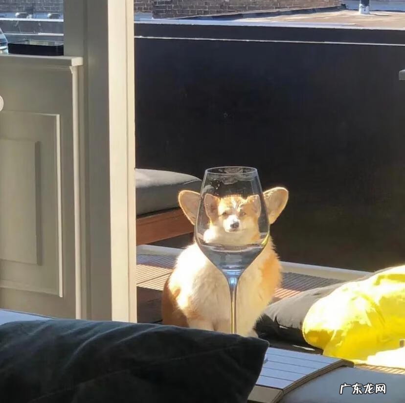 ins风水彩画 INS风格头像