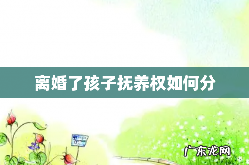 离婚了孩子抚养权如何分