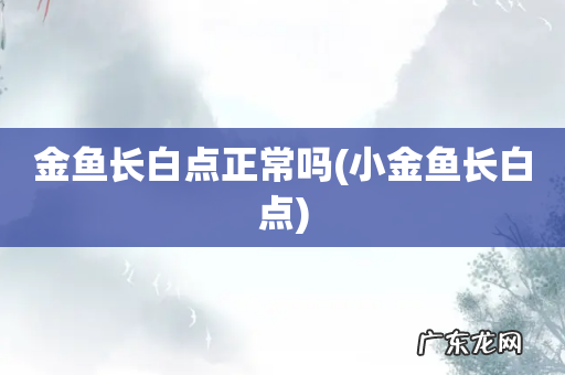 小金鱼长白点 金鱼长白点正常吗