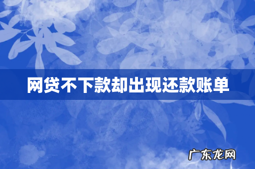 网贷不下款却出现还款账单