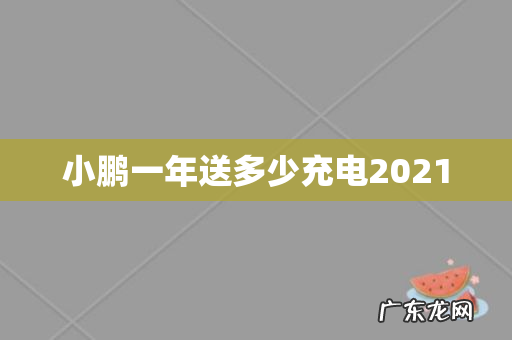 小鹏一年送多少充电2021