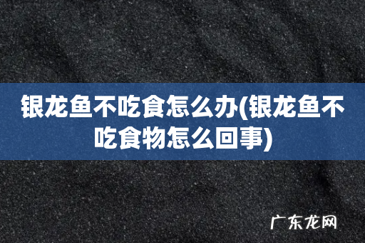 银龙鱼不吃食物怎么回事 银龙鱼不吃食怎么办