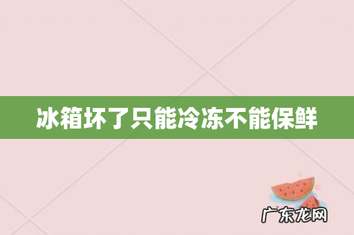 冰箱坏了只能冷冻不能保鲜