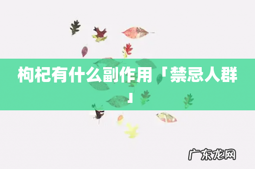 枸杞有什么副作用「禁忌人群」