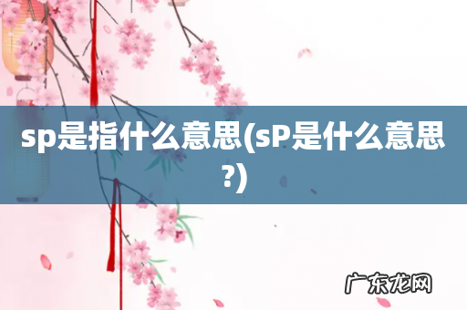 sP是什么意思? sp是指什么意思