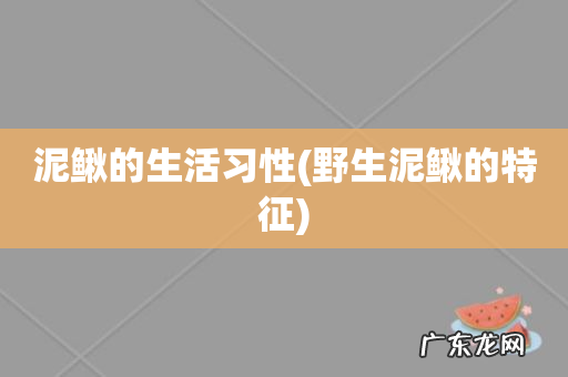 野生泥鳅的特征 泥鳅的生活习性