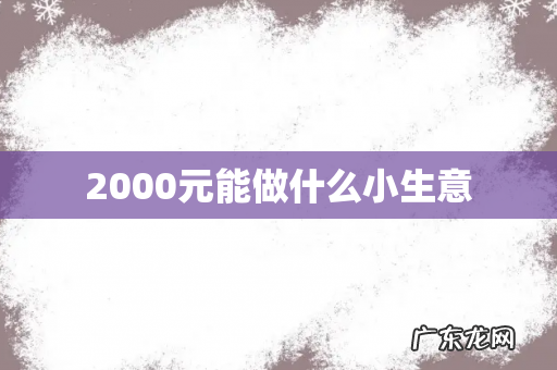 2000元能做什么小生意