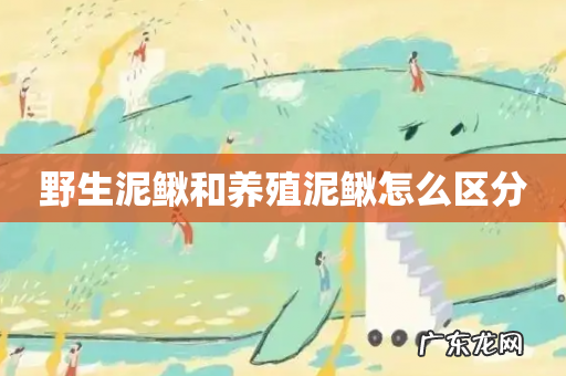 野生泥鳅和养殖泥鳅怎么区分