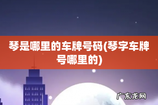 琴字车牌号哪里的 琴是哪里的车牌号码