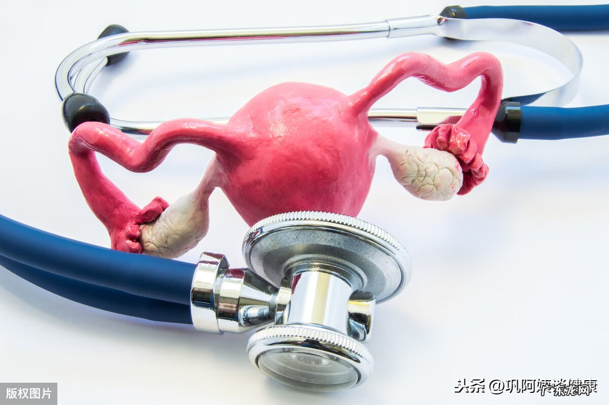 双子宫是什么原因造成的 双子宫是怎么回事?