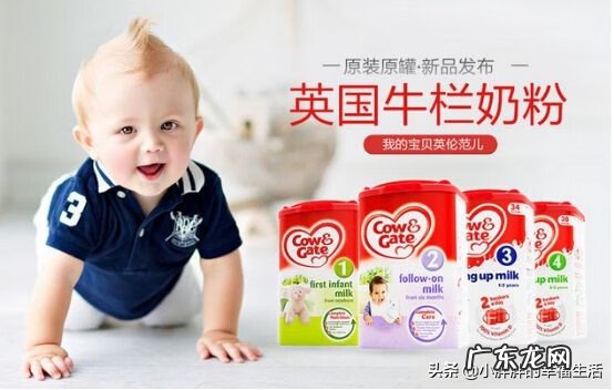 婴儿奶粉品牌排行榜 宝宝奶粉排名榜