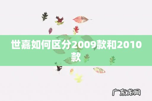 世嘉如何区分2009款和2010款