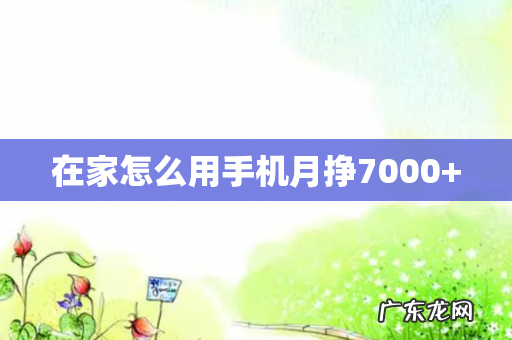 在家怎么用手机月挣7000+