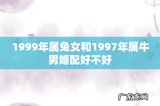 1999年属兔女和1997年属牛男婚配好不好