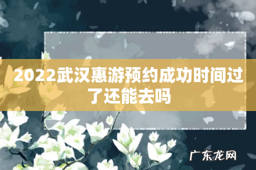 2022武汉惠游预约成功时间过了还能去吗
