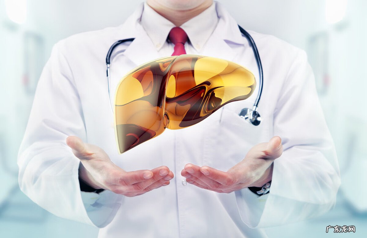 肝功能全套检查项目 血液查肝功能检查项目