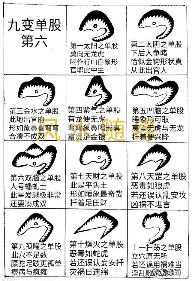 风水九星含义 风水古籍九星穴法