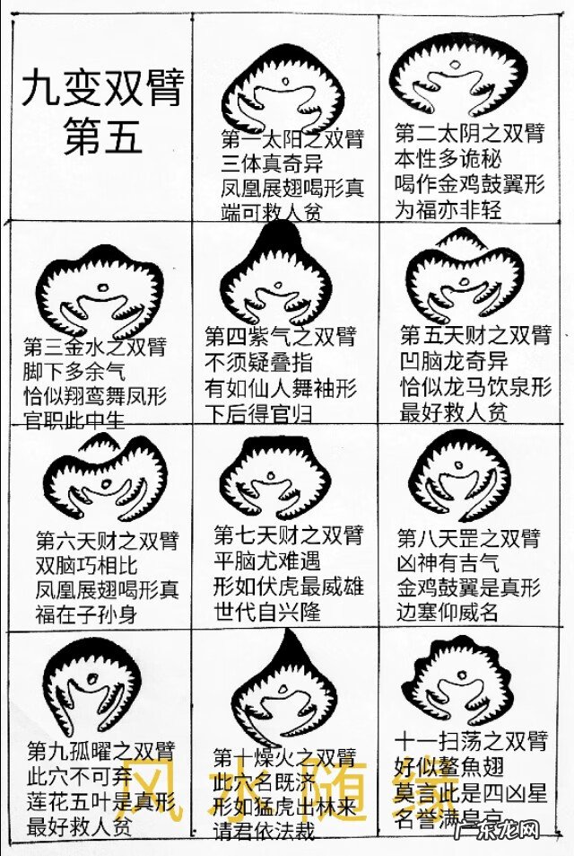 风水九星含义 风水古籍九星穴法
