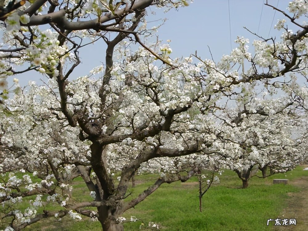 为什么叫铁门槛 算命说铁门槛什么意思呀