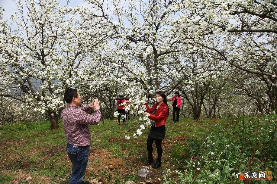 为什么叫铁门槛 算命说铁门槛什么意思呀