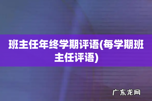 每学期班主任评语 班主任年终学期评语