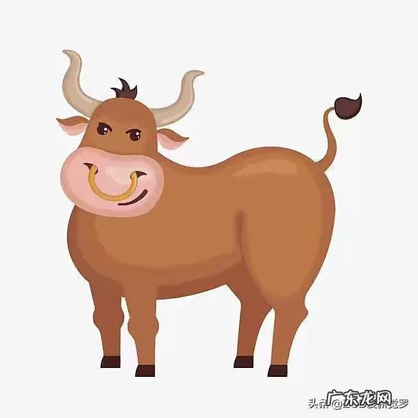 我功夫贼牛 贼牛