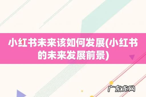 小红书的未来发展前景 小红书未来该如何发展