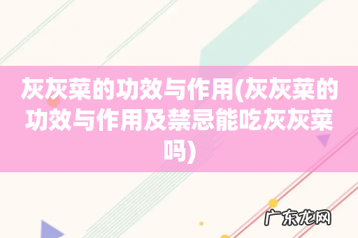 灰灰菜的功效与作用及禁忌能吃灰灰菜吗 灰灰菜的功效与作用