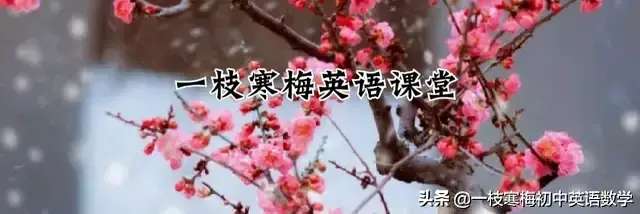 短裙用英语怎么表示 短裙英语怎么写