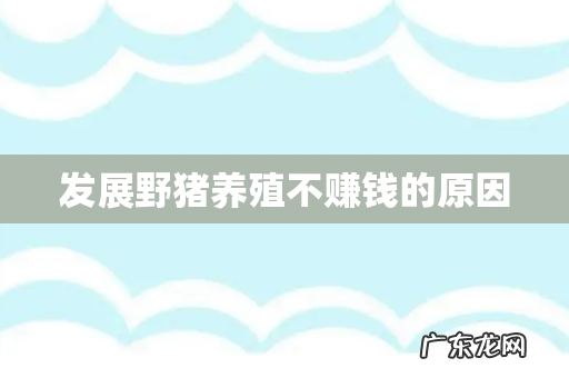 发展野猪养殖不赚钱的原因