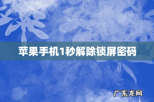 苹果手机1秒解除锁屏密码