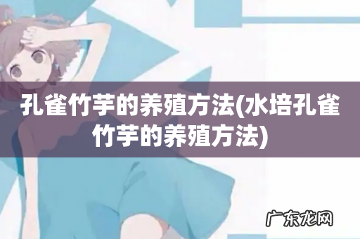 水培孔雀竹芋的养殖方法 孔雀竹芋的养殖方法