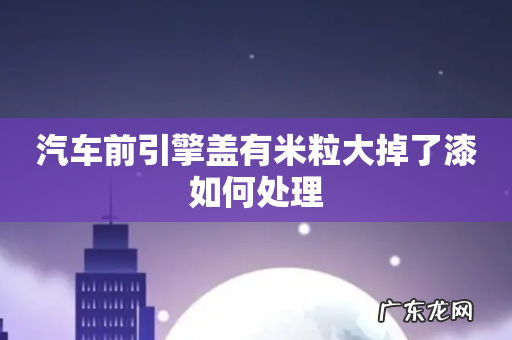 汽车前引擎盖有米粒大掉了漆如何处理