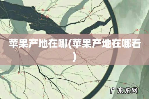 苹果产地在哪看 苹果产地在哪